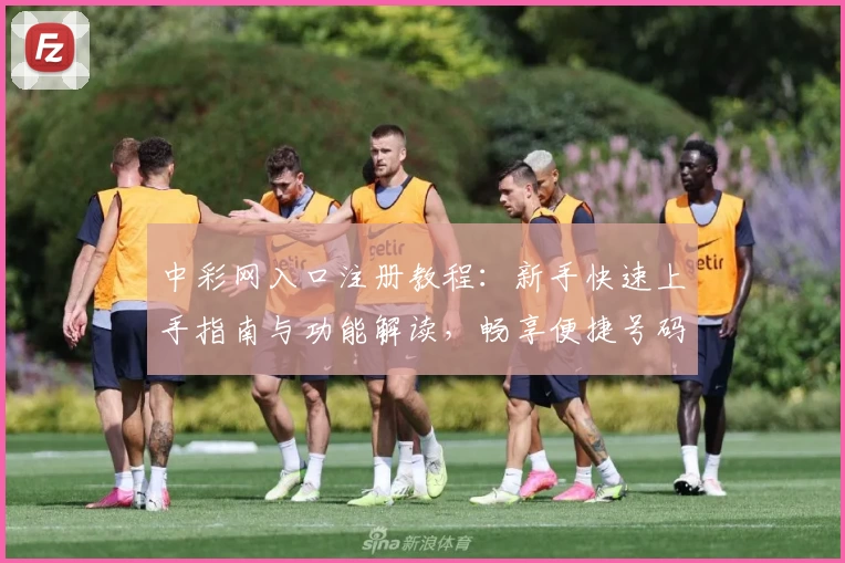 中彩网入口注册教程：新手快速上手指南与功能解读，畅享便捷号码查询体验