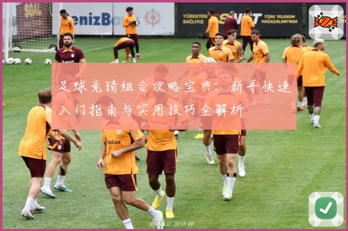 足球竞猜组合攻略宝典:新手快速入门指南与实用技巧全解析