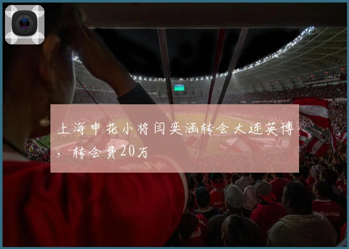 上海申花小将闫奕涵转会大连英博，转会费20万